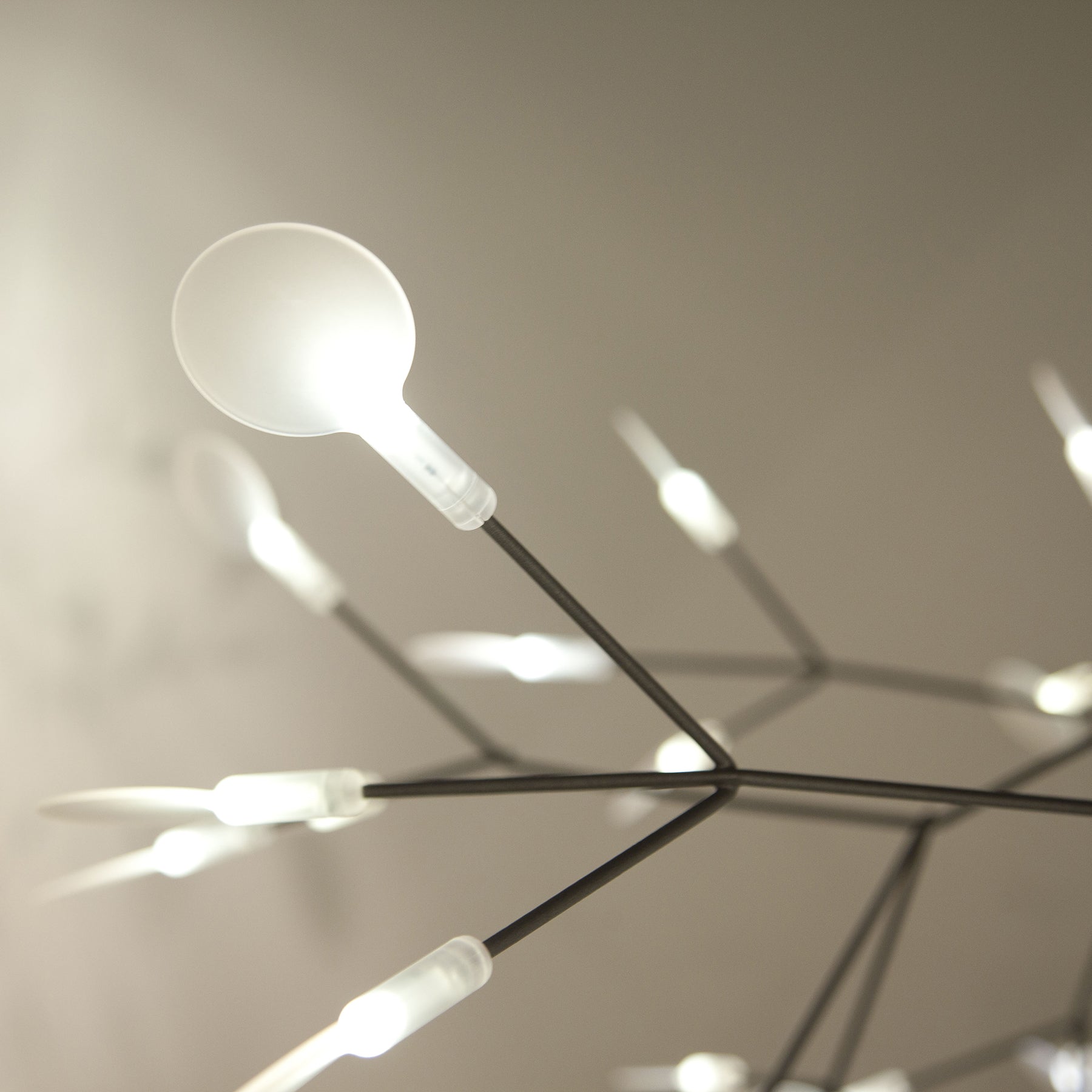 Moooi - Heracleum II small Pendelleuchte
