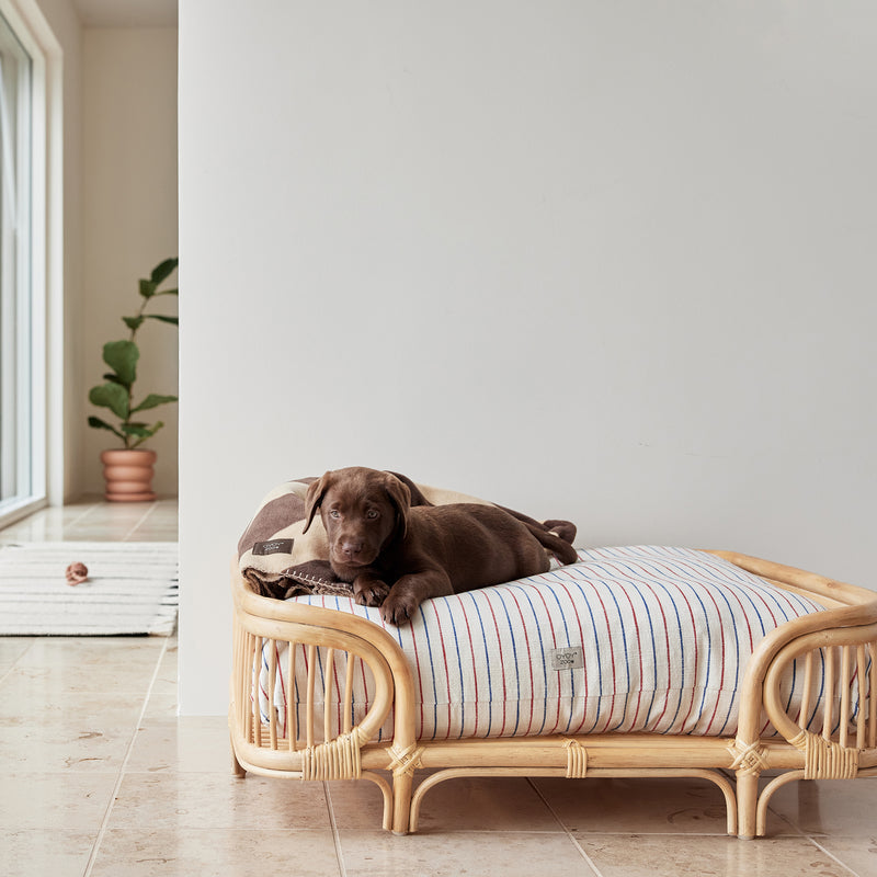 OYOY ZOO - Otto Hundebett