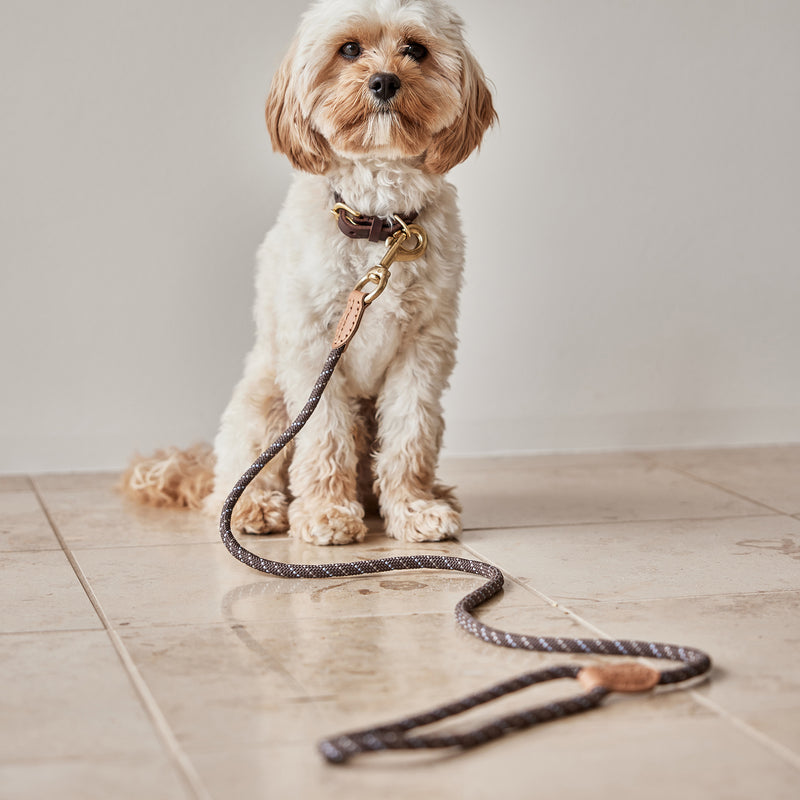 OYOY ZOO - Perry Hundehalsband