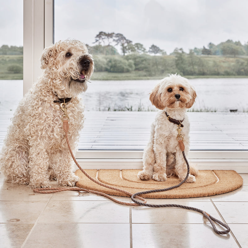 OYOY ZOO - Perry Hundehalsband
