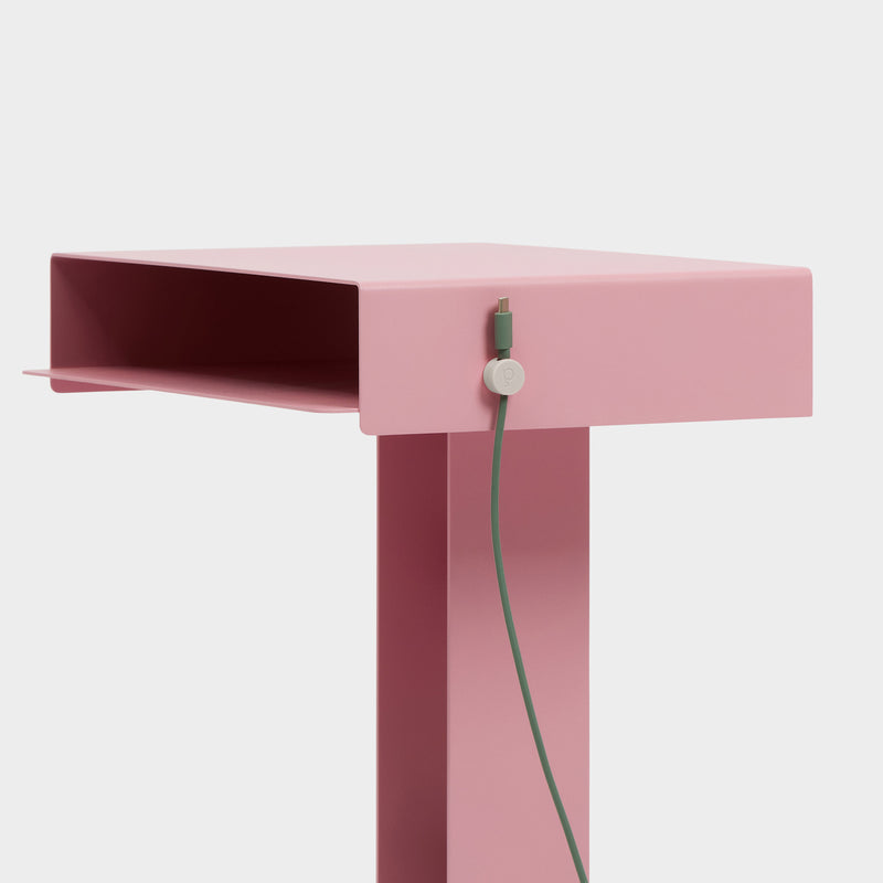 Pedestal - Cable Clips