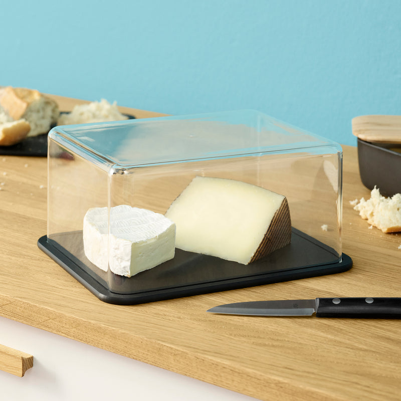 Rig-Tig by Stelton - Contain-It Käsebox