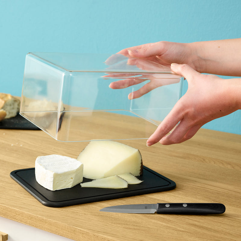 Rig-Tig by Stelton - Contain-It Käsebox
