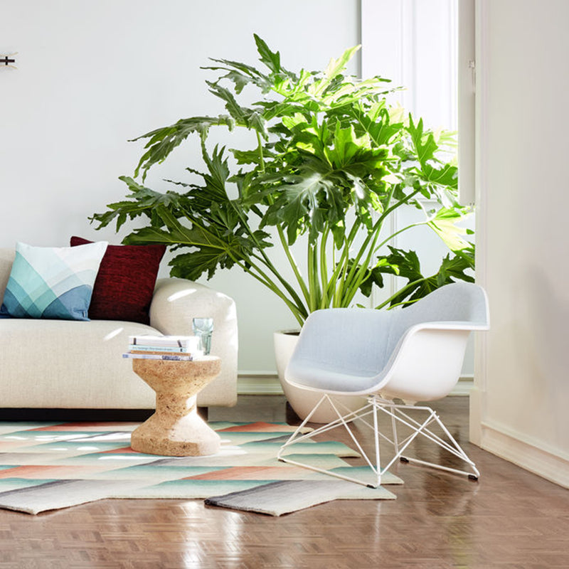 Vitra - Eames Plastic Armchair LAR RE