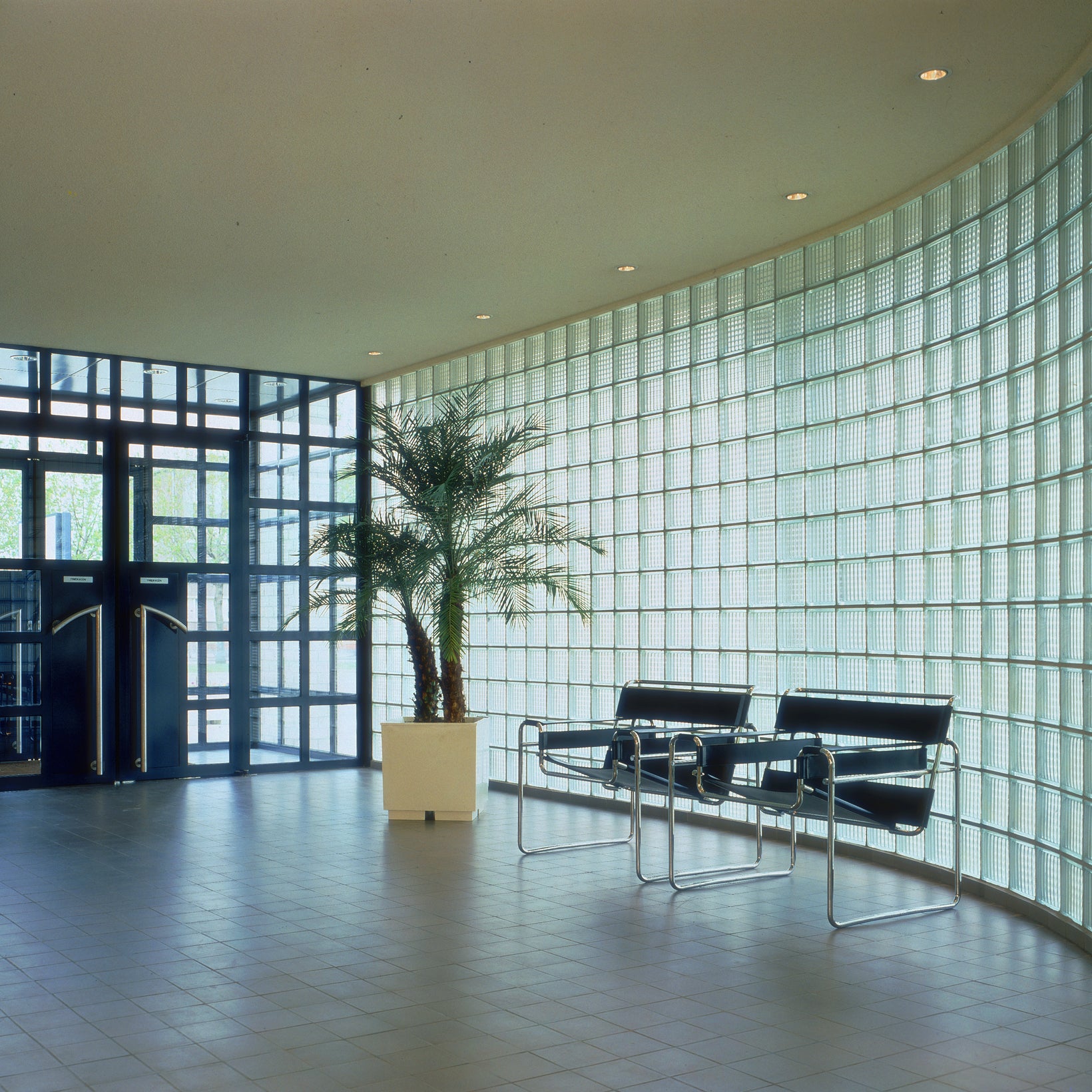 Knoll - Wassily Stuhl (Leder)
