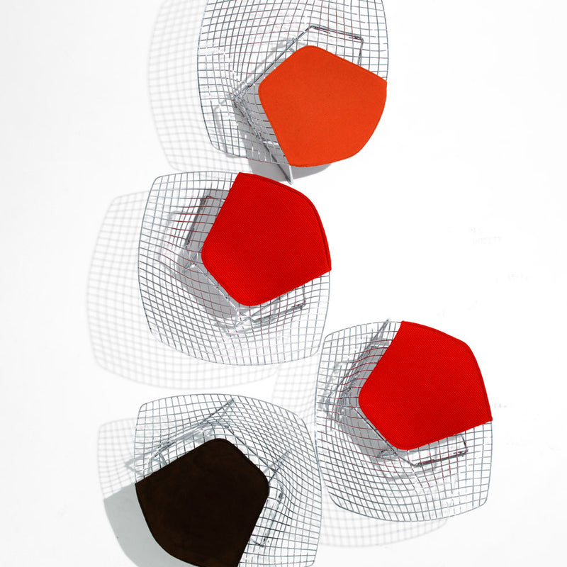 Knoll - Bertoia Diamond Sessel