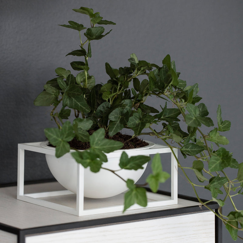 Audo - Kubus Bowl | Kubus Bowl Centerpieces / large / weiß