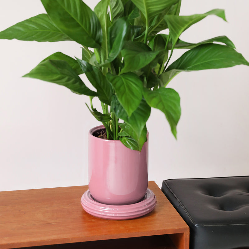 &amp;klevering - Churros Blumentopf | blush