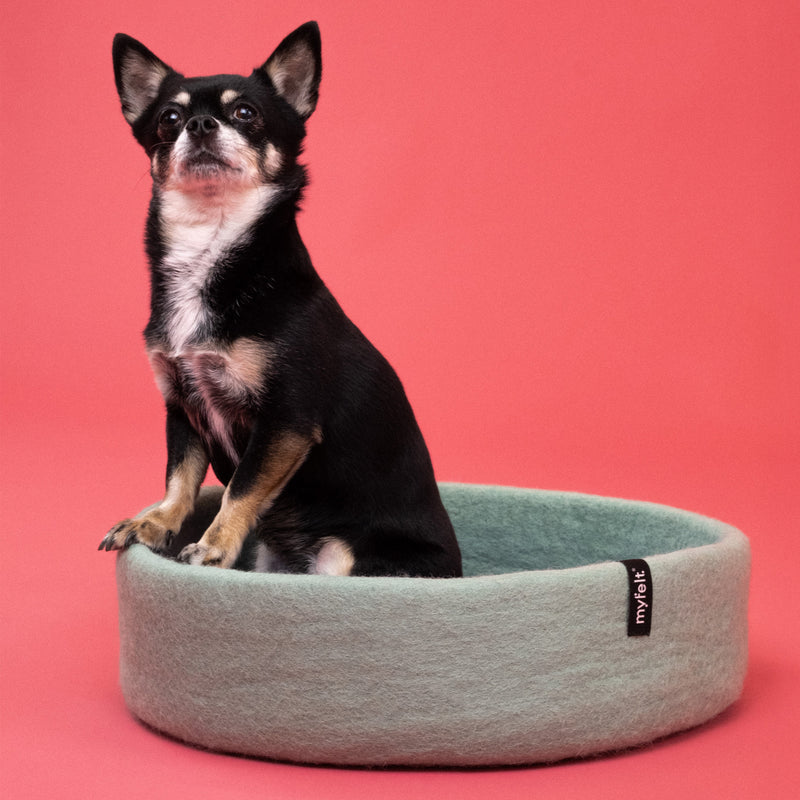 myfelt - Fine Hundekorb