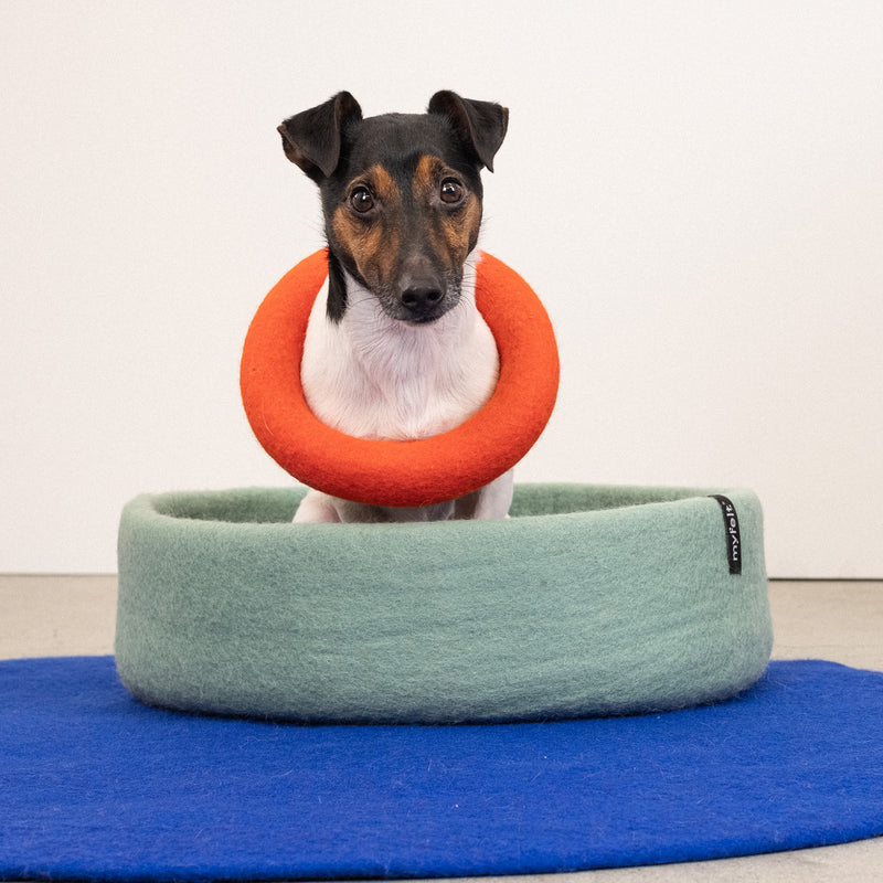 myfelt - Fine Hundekorb