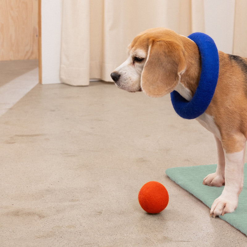 myfelt - Isa Hundespielzeug