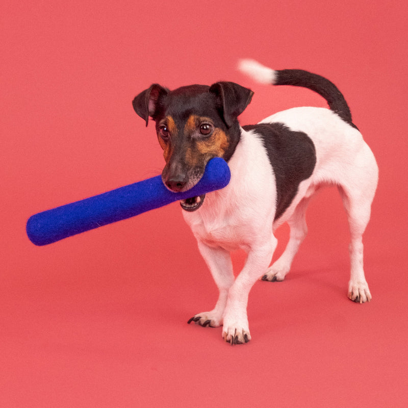 myfelt - Isa Hundespielzeug