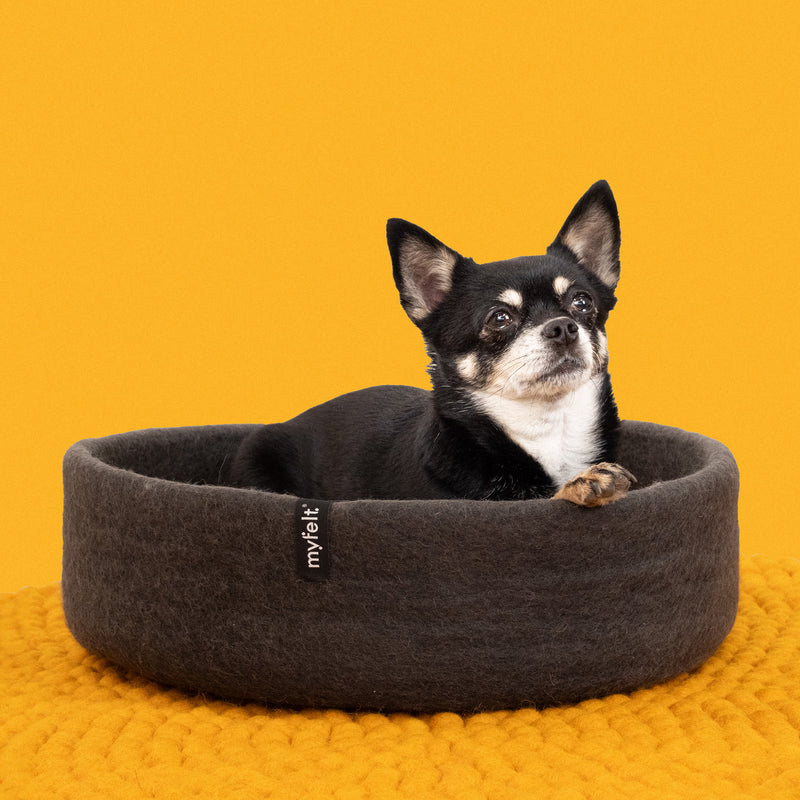 myfelt - Kuno Hundekorb