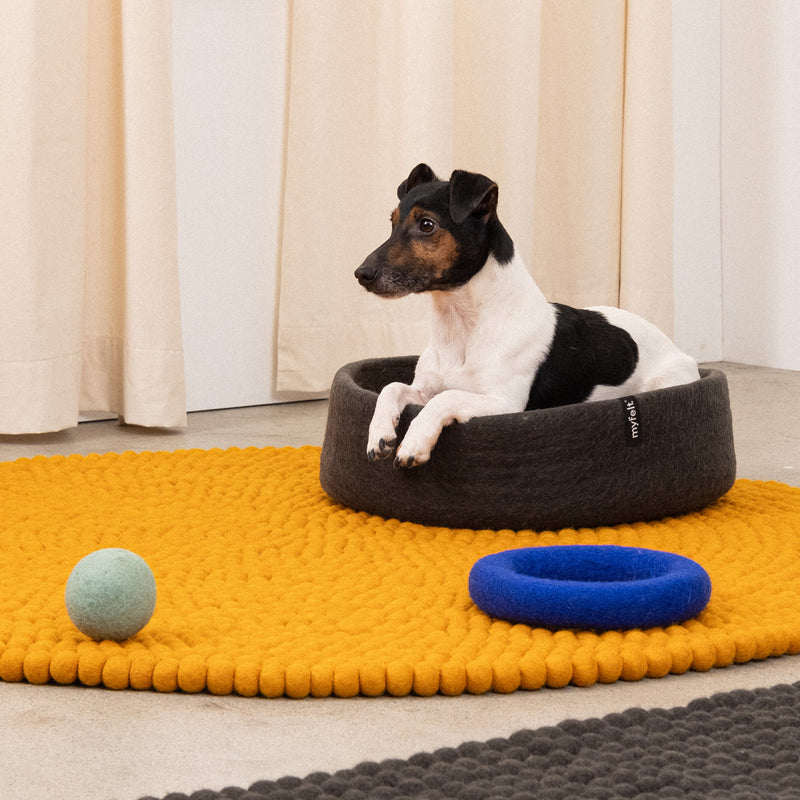 myfelt - Isa Hundespielzeug
