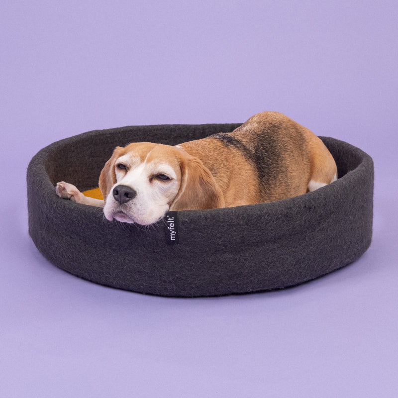 myfelt - Kuno Hundekorb