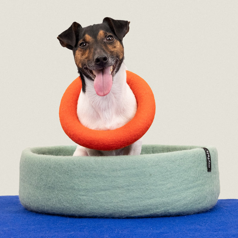 myfelt - Mats Hundespielzeug