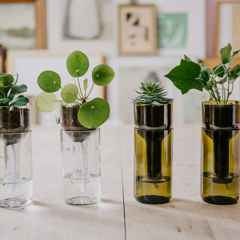 side by side - Self Watering Bottle Blumentopf