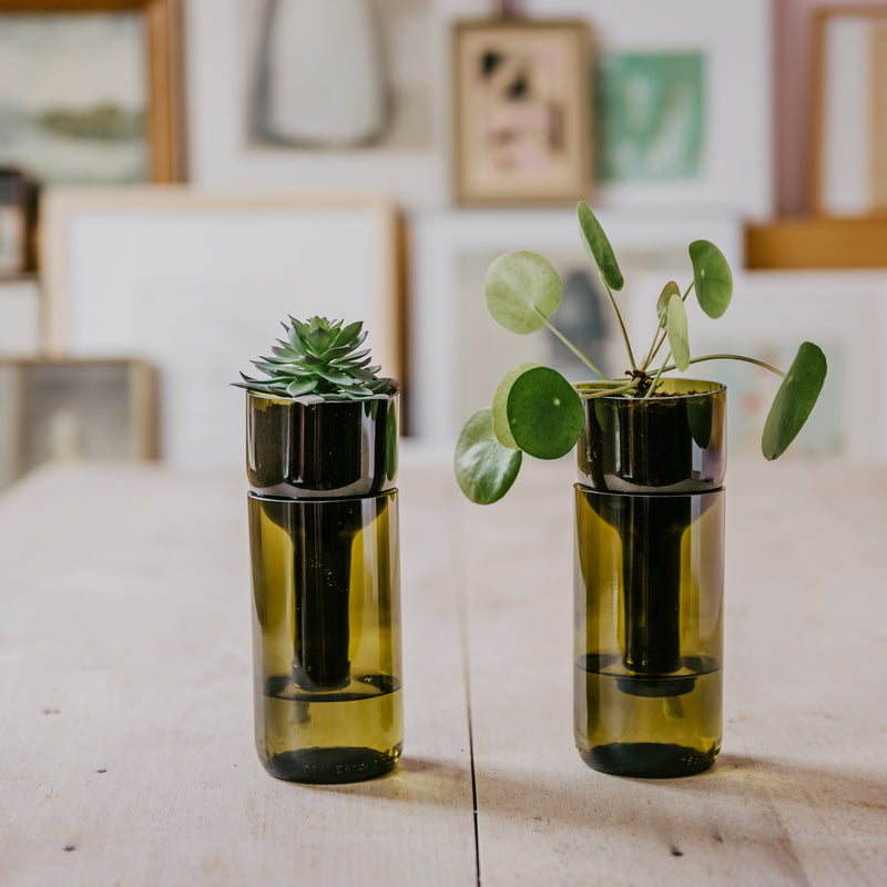 side by side - Self Watering Bottle Blumentopf | grün